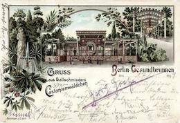 Gesundbrunnen (1000) Gasthaus Ballschmieders Kastanienwäldchen  1899 I-II (Ecken Abgestoßen) - Kamerun