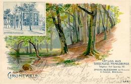 Grunewald (1000) Gasthaus Seeschloss Pichelsberge   1904 I-II - Cameroun