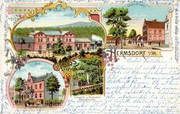 Hermsdorf (1000) Bahnhof Eisenbahn Postamt Postkutsche Gasthaus Waldschlösschen Lithographie 1898 II (Stauchung) Chemin  - Kamerun