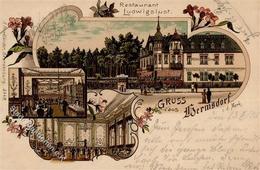 Hermsdorf (1000) Gasthaus Hotel Pension Ludwigslust  Lithographie 1901 I-II - Cameroon