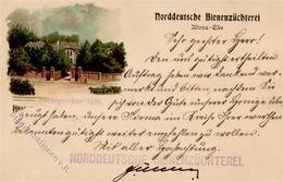 ALTONA,Elbe (2000) - NORDDEUTSCHE BIENENZÜCHTEREI Altona 1899 I-II - Kamerun