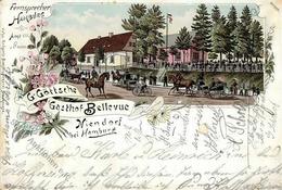 Niendorf (2000) Gasthaus Bellevue Lithographie 1898 I-II - Camerun