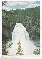 Upper Falls Of The Yellowstone River, Unused Postcard [22543] - Yellowstone