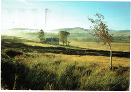 CPM IRLANDE LEINSTER WICKLOW - Cottage Près De Sallygap - Wicklow