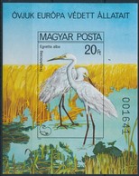 ** 1980 Madarak - Védett Vízimadarak Vágott Blokk (6.000) - Autres & Non Classés