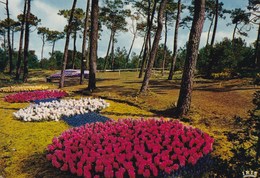 LA TRANCHE SUR MER  LES FLORALIES (dil250) - La Tranche Sur Mer