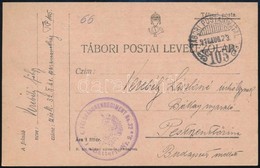 1916 Tábori Posta Levelezőlap A 32. Gyaloghadosztály Történetével - Altri & Non Classificati