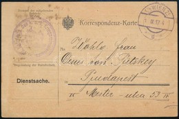 1917 Tábori Posta Levelezőlap '10. Kgf. Ahtlg Des K. U. K. Kriegsministeriums' - Other & Unclassified