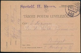 1917 Tábori Posta Levelezőlap 'FP 440' , 'Spetelf. H. Kpmp.' - Other & Unclassified