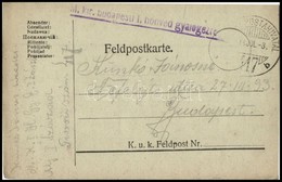 1918 Tábori Posta Levelezőlap 'M.kir. Budapesti  I. Honvéd Gyalogezred' + 'TP 417 B' - Other & Unclassified