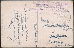 1918 Tábori Posta Képeslap / Field Postcard 'Kommando Des K.u.k. Aufsichtsdetachement Des Landes-Kriegsfürsorge In Tarcs - Andere & Zonder Classificatie