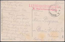 ~1914 Képeslap 'K.U.K. Marinefeldpostmant POLA' Gumibélyegzővel / Rubber Seal - Other & Unclassified