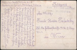 1917 Tábori Posta Képeslap 'K.u.k Epidemiespital In Skotschau' - Other & Unclassified