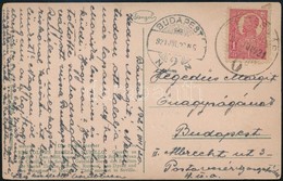 1921 Képeslap Túlélő Bélyegzéssel 'TEMESVÁR' - Altri & Non Classificati