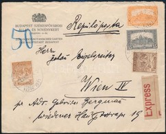 1922 Expressz Légi Levél Bécsbe / Express Airmail Cover To Vienna - Otros & Sin Clasificación