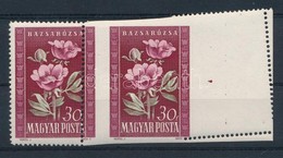 ** 1950 Virág 30f Látványosan Elfogazott ívszéli Pár / Mi 1112 Strongly Misperforated Margin Pair - Other & Unclassified