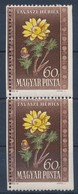 ** 1950 Virág 60f Elfogazott Függőleges Pár / Mi 1114 Misperforated Vertical Pair - Altri & Non Classificati