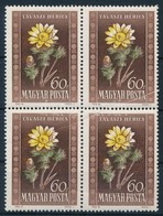 ** 1950 Virág 60f Négyestömb Több Papírránccal / Mi 1114 Block Of 4 With Multiple Paper Crease - Sonstige & Ohne Zuordnung