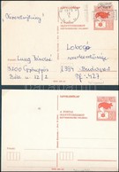 1975 60f Futott Díjjegyes Levelezőlap Alsó Osztóvonal Nélkül + Támpéldány - Other & Unclassified