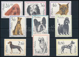 ** * 1963 Kutyák Sor (2 érték Falcos),
Dogs Set (2 Values Hinged)
Mi 1374 - 1382 - Other & Unclassified