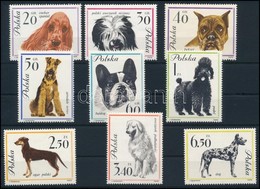 ** 1963 Kutyák Sor (Mi 1381 Rozsda),
Dog Set (Mi 1381 Stained)
Mi 1374-1382 - Other & Unclassified