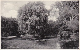 AK Stadthagen - Wall-Promenade - Stempel Wernhagen über Stadthagen - 1937 (38236) - Stadthagen