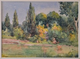 Olvashatatlan Jelzéssel: Liget. Akvarell, Papír, 17×24 Cm - Other & Unclassified