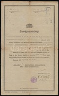 1918 Iparigazolvány Budapesti Cipész Részére - Unclassified