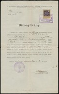 1922 Orvosdoktori Bizonyítvány - Zonder Classificatie