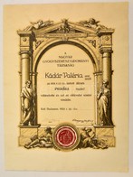 1929 Bp., A Magyar Gyógyszertudományi Társaság Dekoratív Oklevele A Társaság Pecsétjével, Kövér Gyula Grafikája, Szép ál - Unclassified