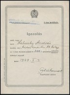 1949 Tervkölcsön Jegyzési Igazolás - Zonder Classificatie