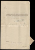 1939 Dr. Szőnyi Gyula Miniszteri Osztálytanácsosi Kinevezése, Teleki Pál (1879-1941) Miniszterelnök Aláírásával, Szárazp - Unclassified