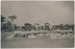 Cca 1925 Kerny István (1879-1963): Hortobágyi Hídi Vásár, Pecséttel Jelzett, Jeliratozott Vintage Fotó, 15x23 Cm - Andere & Zonder Classificatie