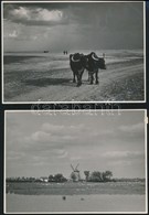 Cca 1936 Czvek Gyula 4 Db Pecséttel Jelzett, Vintage Fotóművészeti Alkotása, 18x12 Cm - Andere & Zonder Classificatie