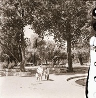 Cca 1940 Belházy Dezső (?-?) Budapesti Fotóművész Hagyatékából, 4 Db Vintage Fotó, Kettő Aláírva, Kettő Jelzés Nélküli,  - Andere & Zonder Classificatie