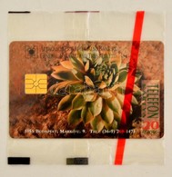 1995 AEB Dukát 20 Egységes Telefonkártya, Megjelent 4000 Példányban, Bontatlan Csomagolásban - Ohne Zuordnung