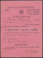 1914 Szeged Idézés Népfölkelési Szemlére. - Other & Unclassified