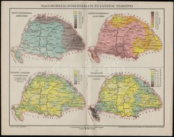 Cca 1890 Magyarország Hőmérsékleti és Esőzési Térképei 30x24 Cm - Altri & Non Classificati