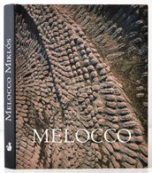 Wehner Tibor: Melocco Miklós. Bp., 2005, Helikon. Kiadói Egészvászon-kötés, Kiadói Papír Védőborítóban. - Zonder Classificatie