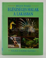 Brian Ward: Egészséges Halak A Lakásban. Bp., 1993. Maecenas. - Unclassified
