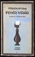 Török Gyula: Fehér Világ. Regényes Novellafüzér. (Bp.,1919,) Táltos, 130+1 P. Első Kiadás. Kiadói Litografált, Illusztrá - Zonder Classificatie