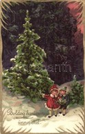 ** * 51 Db RÉGI üdvözlőlap, Sok Karácsonyi, Dombornyomott és Litho / 51 Pre-1945 Greeting Art Postcards, Many Christmas, - Zonder Classificatie