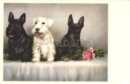 ** 3 Db RÉGI Kutya Motívumlap / 3 Pre-1945 Dog Motive Postcards - Zonder Classificatie