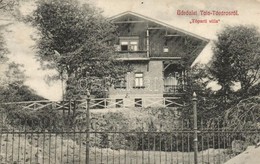 T2/T3 1913 Tata, Tata-Tóváros; Tóparti Villa (EK) - Zonder Classificatie