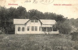 * T2/T3 1914 Bihardiószeg, Diosig; Szőke Lak Az Erdővel. Kiadja Deutsch József / Villa With The Forest (Rb) - Unclassified