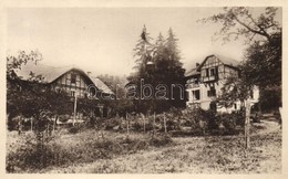 T2 Nagybánya, Baia Mare; Wágner Szanatórium / Sanatorium '1940 Nagybánya Visszatért' So. Stpl - Unclassified