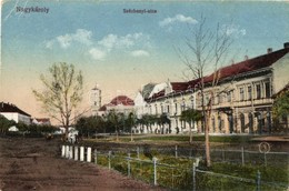 T2/T3 Nagykároly, Carei; Széchenyi Utca, Városháza, Albanezi Gyula üzlete. Kiadja Eigner Simon / Street View, Town Hall, - Unclassified