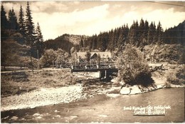 T2 1929 Palotailva, Lunca Bradului; Báró Kemény-féle Erdészlak, Híd / Forester's House, Bridge. Photo - Unclassified