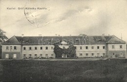 T2/T3 Csicsó, Cicov; Gróf Kálnoky (Zichy) Kastély / Schloss / Kastiel / Castle (EK) - Non Classés