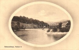 T2/T3 1917 Selmecbánya, Schemnitz, Banska Stiavnica; Halicsi Tó / Halic Lake (EK) - Zonder Classificatie